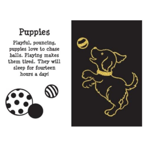 Peter Pauper Press - Scratch and Sketch - Furry Friends