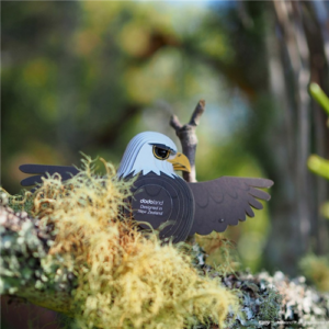 Eugy - 3D Cardboard Model - Bald Eagle