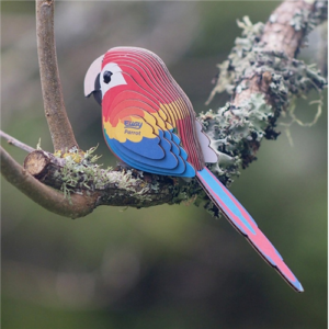 Eugy - 3D Cardboard Model - Parrot