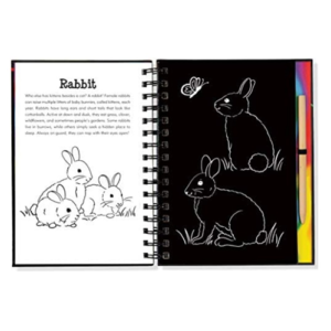 Peter Pauper Press - Scratch and Sketch - Forest Friends