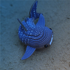 Eugy - 3D Cardboard Model - Whale Shark