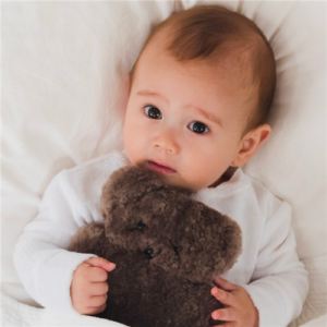 Flatout Bear - Baby - Chocolate