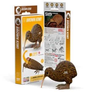 Eugy - 3D Cardboard Model - Brown Kiwi