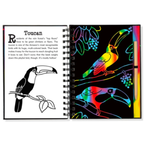 Peter Pauper Press - Scratch and Sketch - Rain Forest