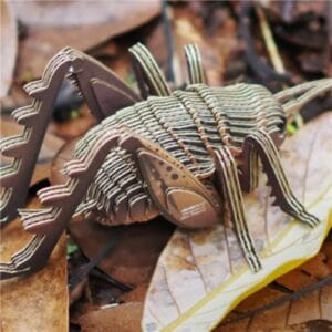 Eugy - 3D Cardboard Model - Giant Weta