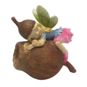 Jopaz - Fairy - Gumnut Fairy sleeping on Gumnut