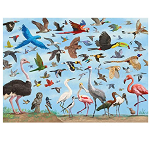 Peter Pauper Press - 1000 Piece - All the Birds