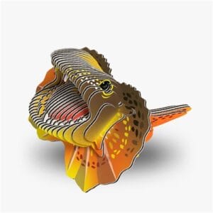 Eugy - 3D Cardboard Model - Frilled Lizard