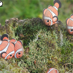 Eugy - 3D Cardboard Model - Clownfish