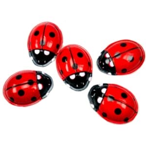Tin Treasures - Lady Bird Clickers