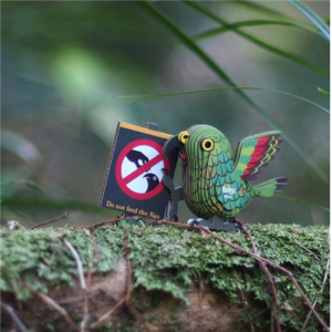 Eugy - 3D Cardboard Model - Kea