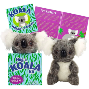Peter Pauper Press - Soft Toy - Hug a Koala