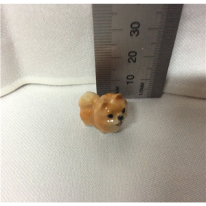 TMT - Pomeranian Standing