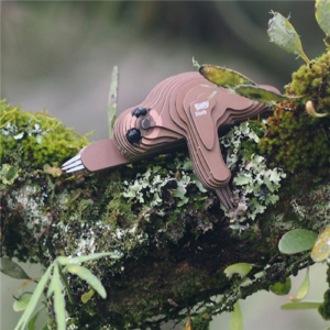 Eugy - 3D Cardboard Model - Sloth