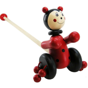 Kaper Kidz - Push Along - Ladybird