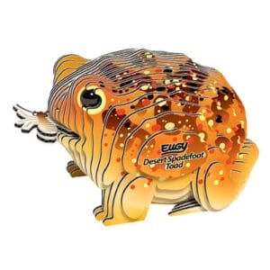Eugy - 3D Cardboard Model - Desert Spadefoot Toad